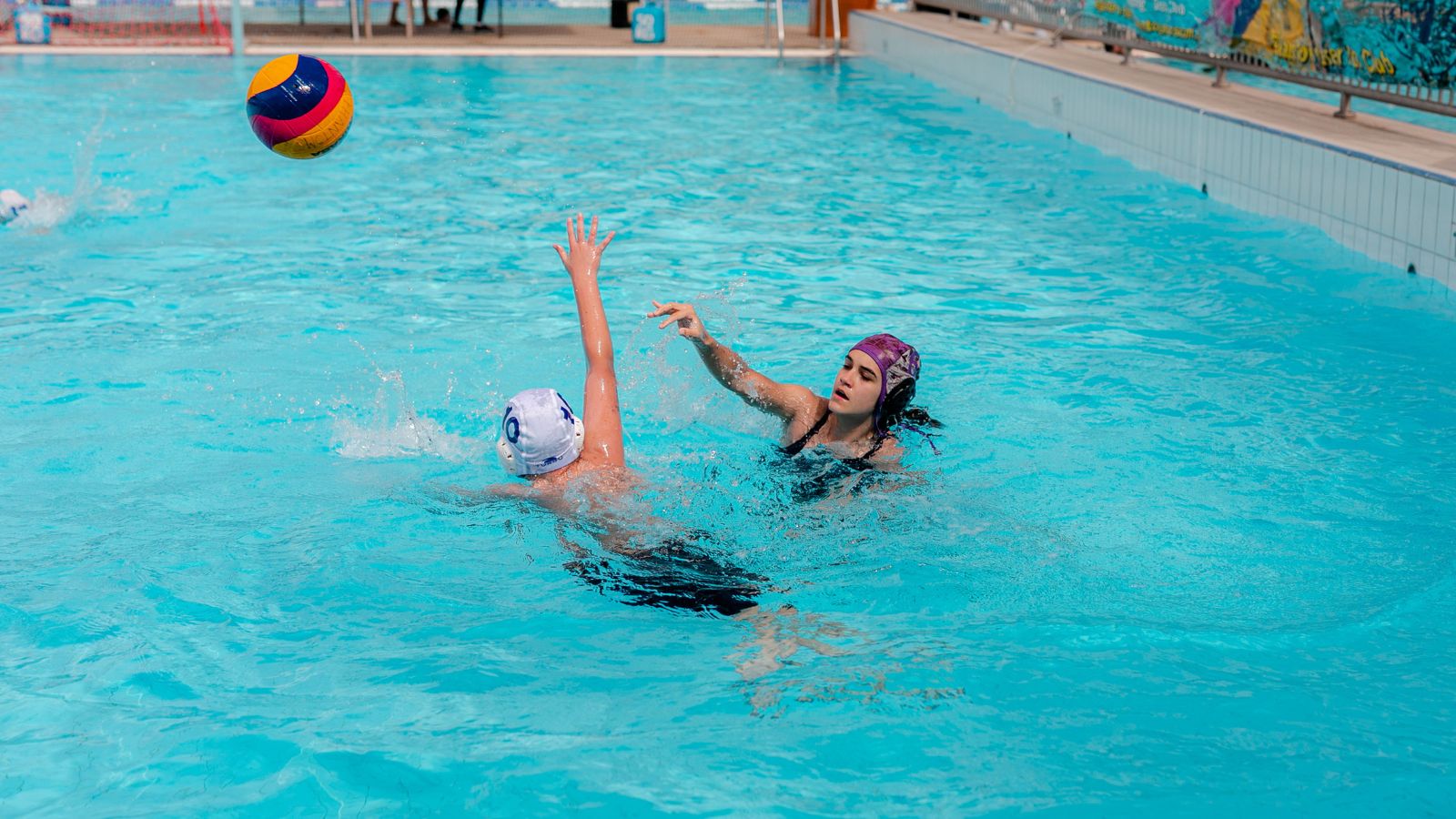 News Story Youth Water Polo Championships Jan 915 » Beatty Park